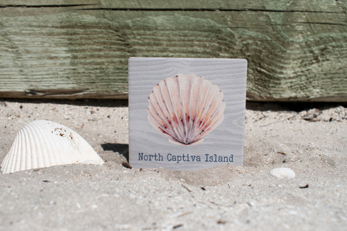 Seashell Drink Coaster