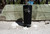 Speaker Tumbler - Florida Outline - Black