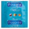 144 x Pasante Tropical Exotic Taste Flavoured Condoms I Wholesale Bulk Pack