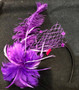 Anna Feather Fascinator