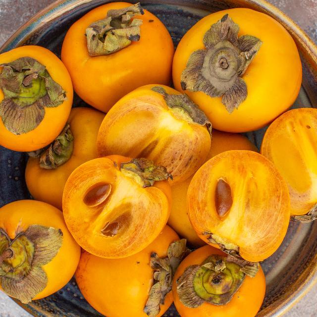 persimmon