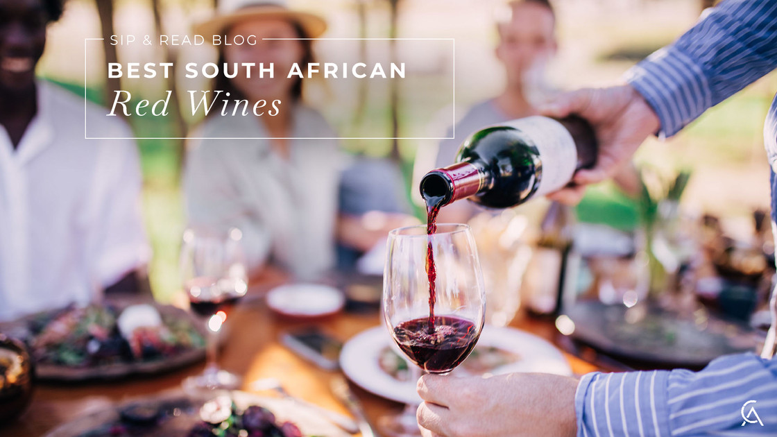Best South African Red Wines: Standout Bottles from the Cape