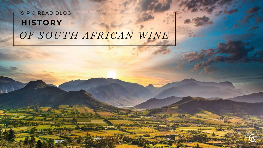 The Growing Popularity Of South African Wines In America
