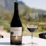 Paserene - 'Union' Syrah, Tulbagh - 2019 (750ml)