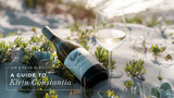Klein Constantia Wine Guide: What to Know + Best Bottles to Try First