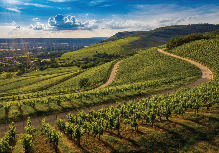 Champagne-Bouzy, France