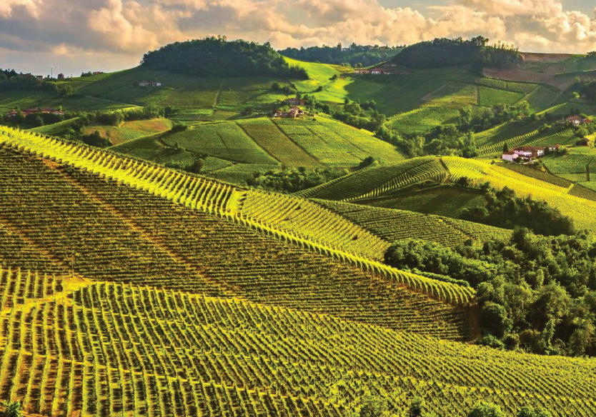 Piedmont / Piemonte