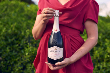 Bottle of Steenberg 1682 Brut Pinot Noir, Constantia NV sparkling wine with fresh berry and citrus. Woman holding bottle of sparkling wine.