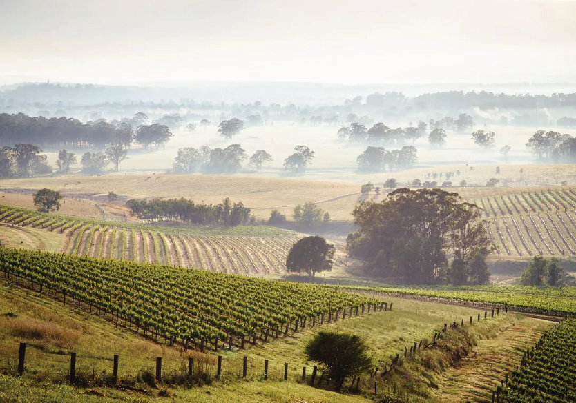 Barossa