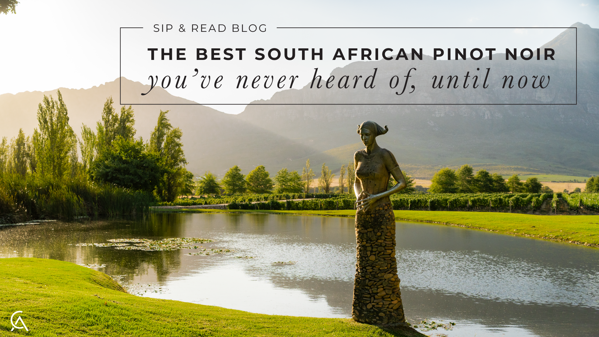 The Best South African Pinot Noir You’ve Probably Never Heard Of - Until Now