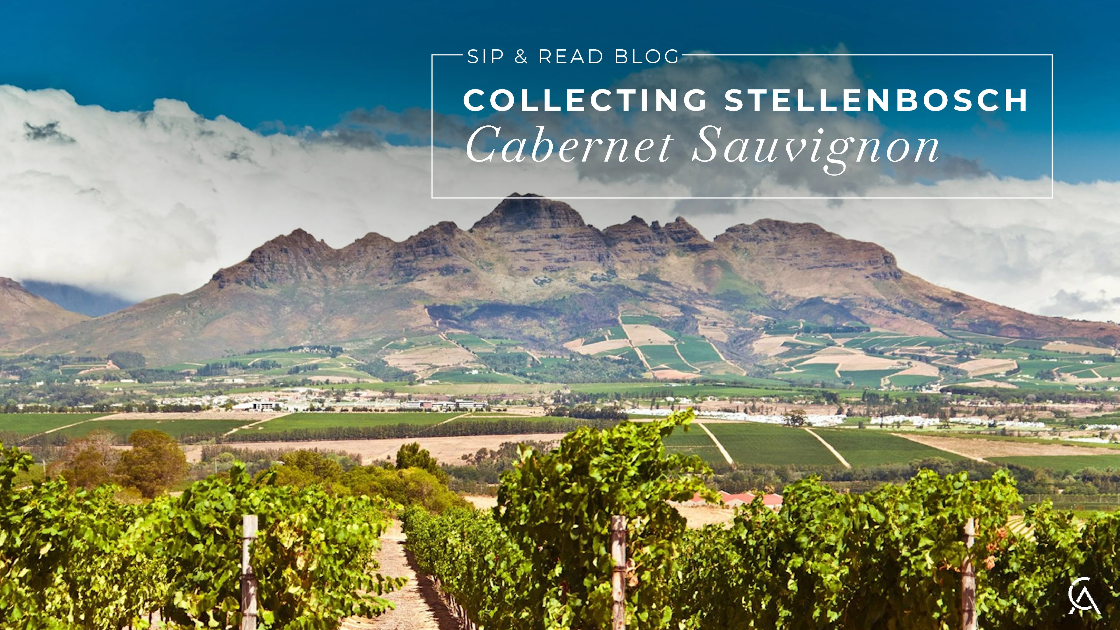Why Serious Cabernet Collectors Are Paying Attention to Stellenbosch