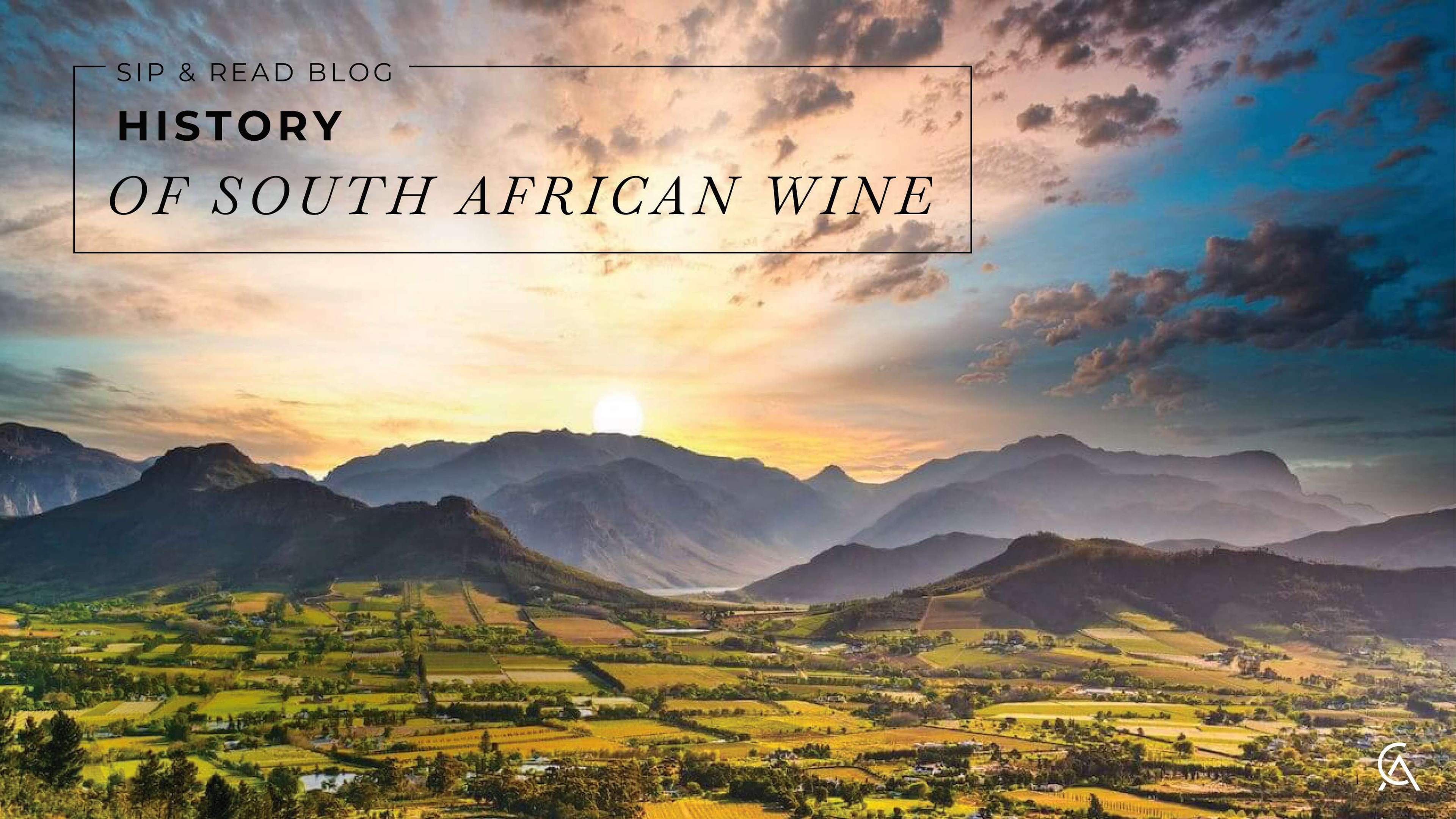 The Growing Popularity Of South African Wines In America