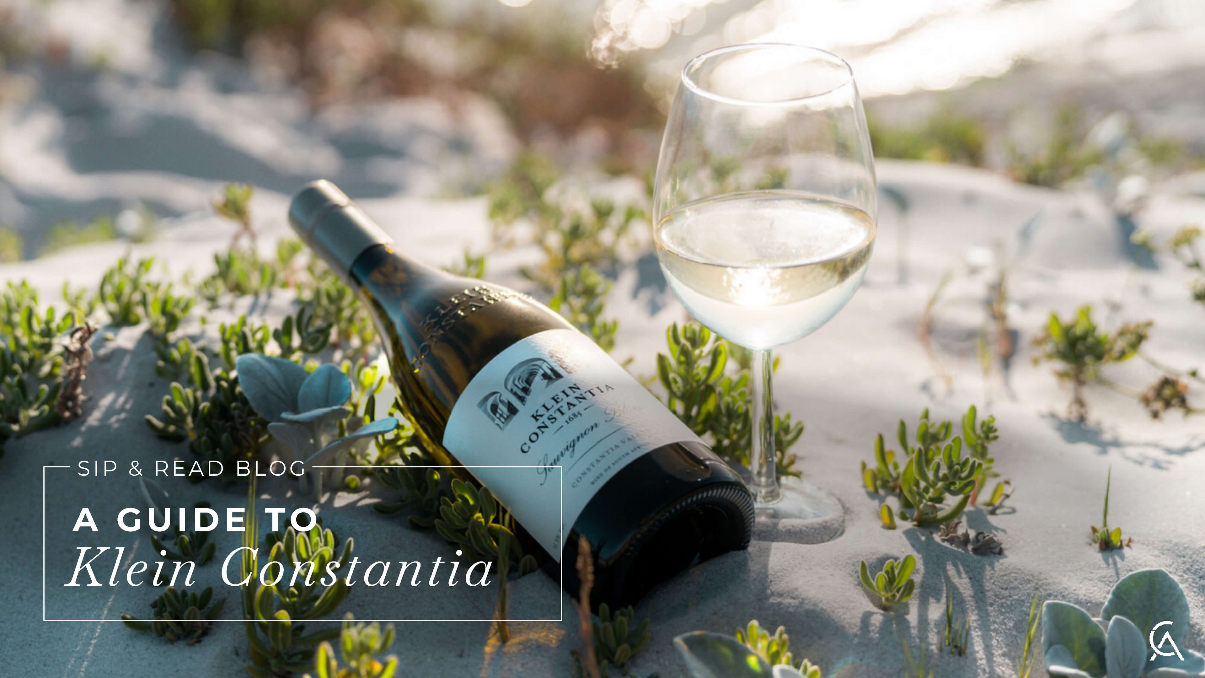 Klein Constantia Wine Guide: What to Know + Best Bottles to Try First