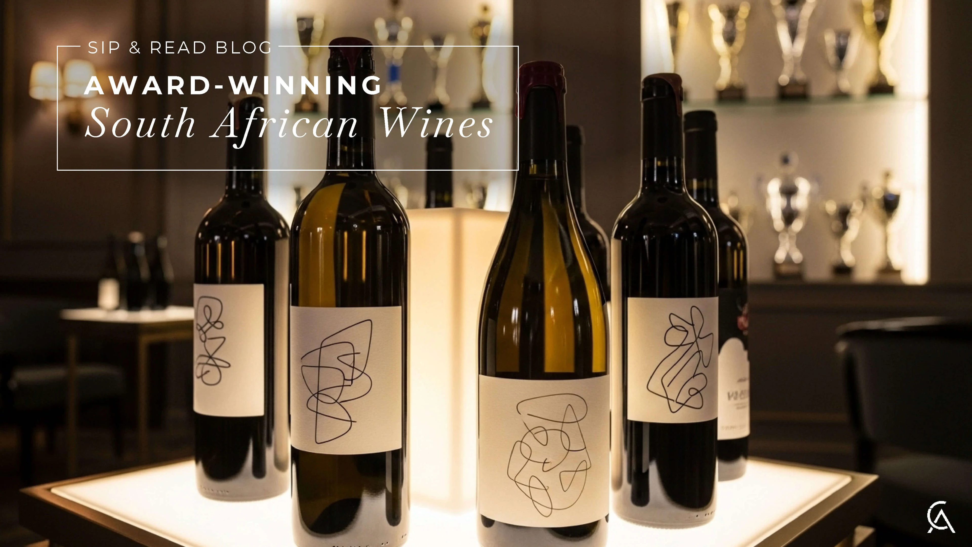Award-winning South African wines: How the Cape Competes on the World Stage