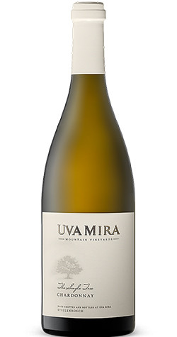 Bottle of Uva Mountain Vineyards 'The Single Tree' Chardonnay 2023 from Heldeberg, Stellenbosch