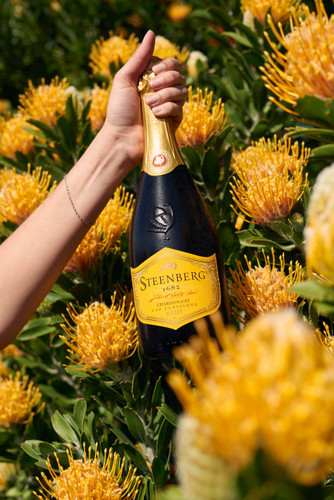 Bottle of Steenberg 1682 Brut Chardonnay from Constantia, South Africa with  apple, vanilla and nuts. Person holding bottle of sparkling wine in and amongst yellow flowers.