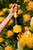 Bottle of Steenberg 1682 Brut Chardonnay from Constantia, South Africa with  apple, vanilla and nuts. Person holding bottle of sparkling wine in and amongst yellow flowers.