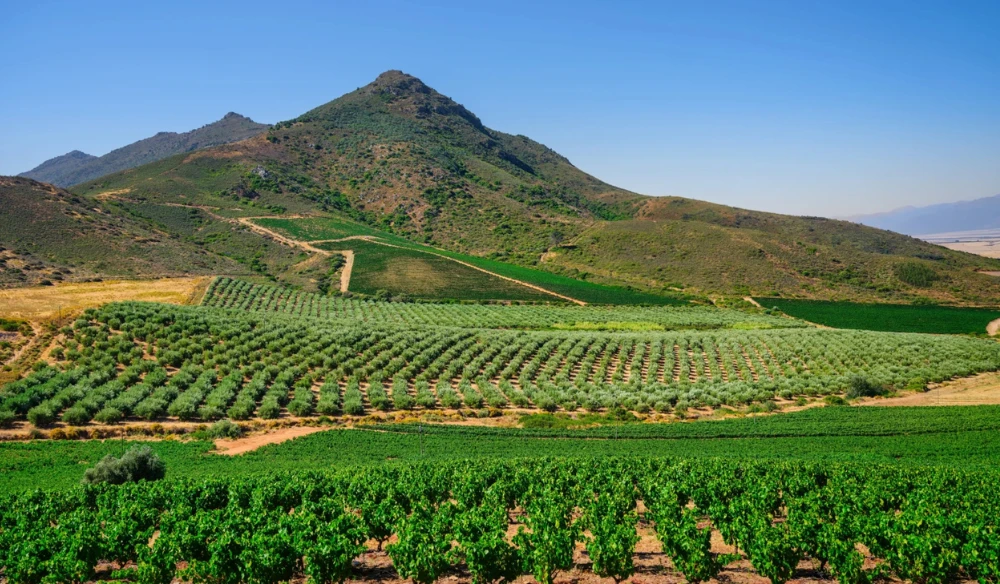 Darling, South Africa