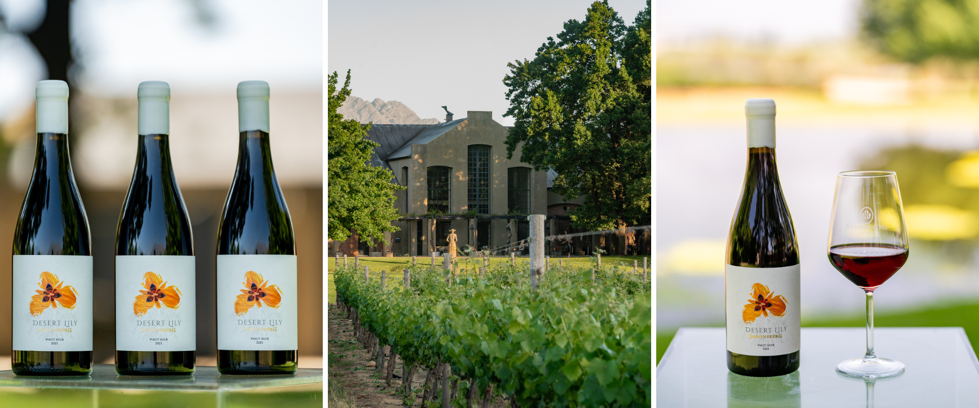 Bottles of Desert Lily Pinot Noir Limited Release