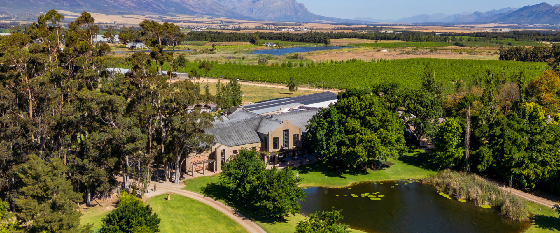 Saronsberg Estate