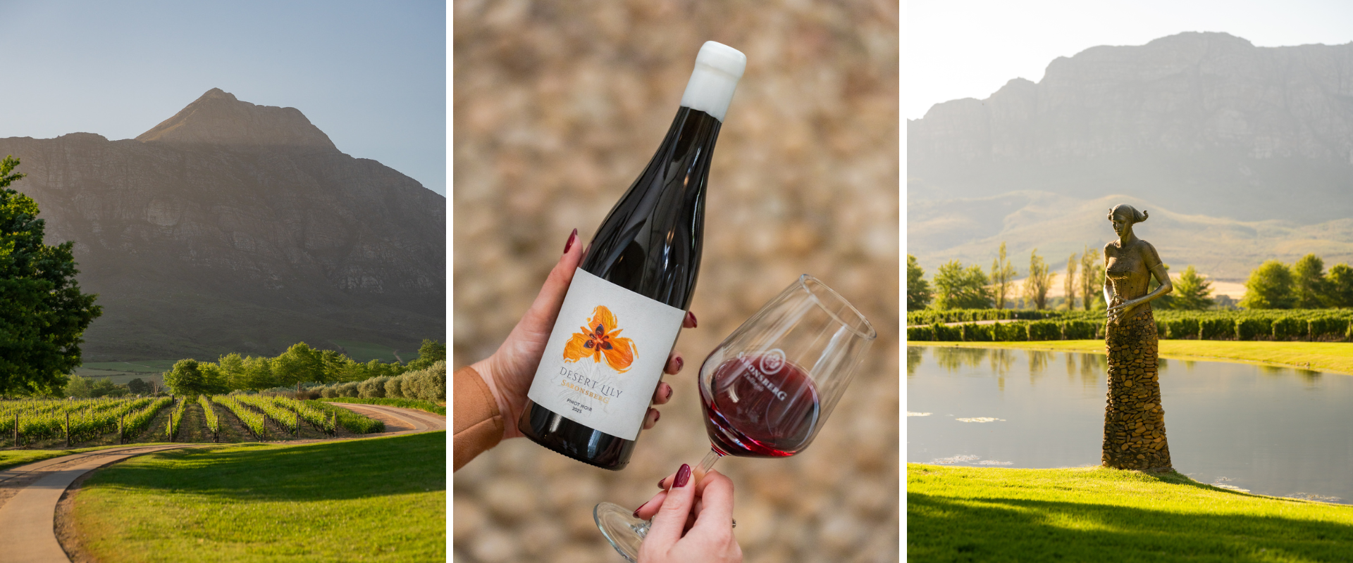 A collage of Saronsberg estate and their Desert Lily Pinot Noir