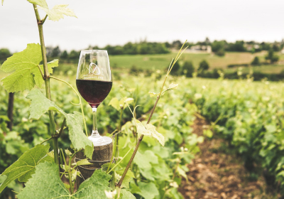 Shop By Winery