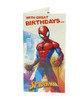 Marvel Spiderman Money Wallet Gift Card Holder
