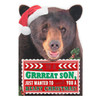 Hallmark Son Christmas Card 'Beary Grrreat'  Medium