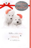 To A Special Two Christmas Greeting Card Talk To The Paw Xmas Cards