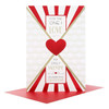 Hallmark One I Love Valentine's Day Card 'Celebrating Our Love' Large