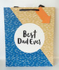 Best Dad Gift Bag Medium Fathers Day