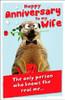 UK Greetings Wife Anniversary Fold Out Greetings Card Meerkat 8.25" x 5.25" Code 407132--1