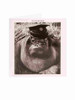 Monochrome Orangutan Photographic Fathers Day Card For Grandad