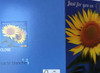 3D Holographic Just for you on Mother's Day BEAUTIFUL BRIGHT COLOURFUL SUNFLOWERS Mother's Day Card