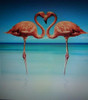 Ani'mates 3D Holographic Card Pair of Flamingos Blank Card