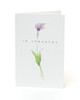 6 x Sympathy Card Sorry For Your Loss Thinking of You Bereavement Cards 632114