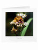 Wildlife Photography Thank You Card