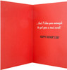 Hallmark Dad Father's Day Card "Text" Medium