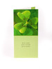 Photographic Shamrock St. Patrick's Day Greeting Card