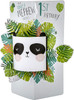 To a Lovely Nephew Cute Panda Design 1st Birthday Card