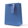 Embossed Bright Coloured Medium Gift Bag