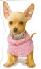 Little Dog In Handbag Birthday Sound Card