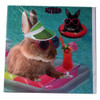Bunny Bathers Square Greeting Card Scream Animal Humour Photo Cards Blank Inside