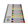 Pack of 10 Jan - Dec Month A4 Polypropylene Dividers with Reinforced Index Cover