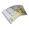 Pack of 10 Jan - Dec Month A4 Polypropylene Dividers with Reinforced Index Cover