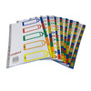 Pack of 10 Jan - Dec Month A4 Polypropylene Dividers with Reinforced Index Cover