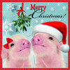 Piglets Wearing Santa Hats Design Me to You Christmas Card