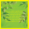 Pack of 30 Citronella Incense Sticks