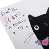 Pink Foil Mother's Day Card from The Cat