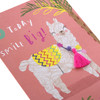 Quirky Llama Design with Tassel and Pom Pom Age 8 Birthday Card